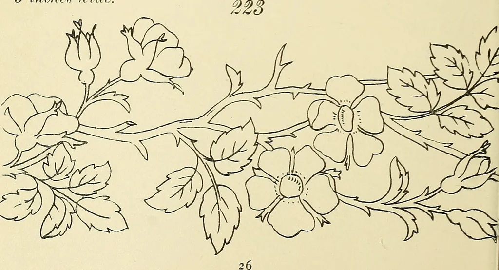 An illustration from Briggs & Co.'s patent transferring papers : patented for the United States of America, 1880, leaf 35