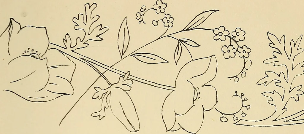 An illustration from Briggs & Co.'s patent transferring papers : patented for the United States of America, 1880, leaf 36