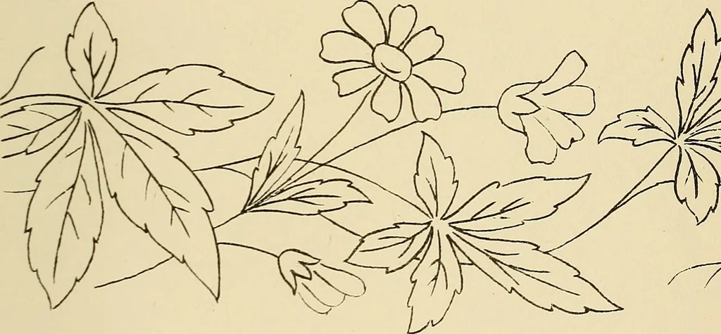 An illustration from Briggs & Co.'s patent transferring papers : patented for the United States of America, 1880, leaf 36