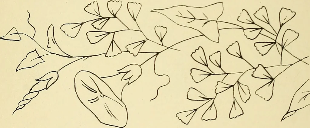 An illustration from Briggs & Co.'s patent transferring papers : patented for the United States of America, 1880, leaf 37