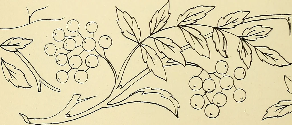 An illustration from Briggs & Co.'s patent transferring papers : patented for the United States of America, 1880, leaf 37