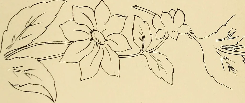 An illustration from Briggs & Co.'s patent transferring papers : patented for the United States of America, 1880, leaf 38