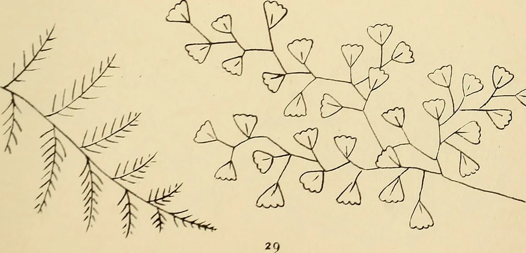 An illustration from Briggs & Co.'s patent transferring papers : patented for the United States of America, 1880, leaf 38