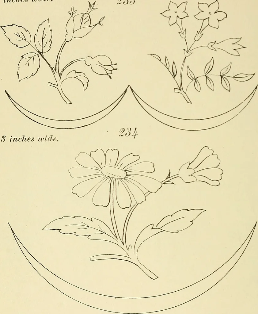 An illustration from Briggs & Co.'s patent transferring papers : patented for the United States of America, 1880, leaf 39