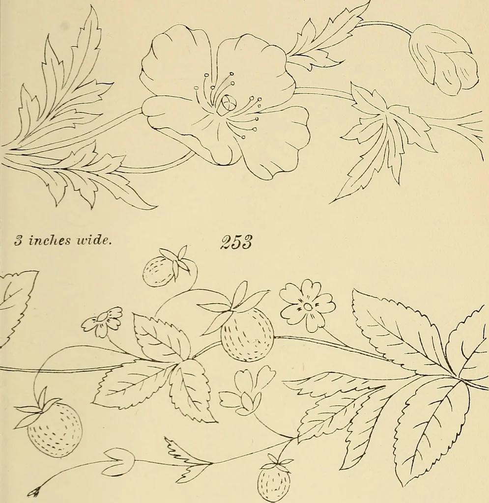 An illustration from Briggs & Co.'s patent transferring papers : patented for the United States of America, 1880, leaf 40