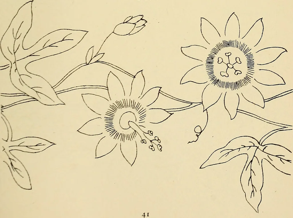 An illustration from Briggs & Co.'s patent transferring papers : patented for the United States of America, 1880, leaf 50