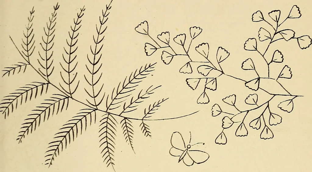 An illustration from Briggs & Co.'s patent transferring papers : patented for the United States of America, 1880, leaf 54