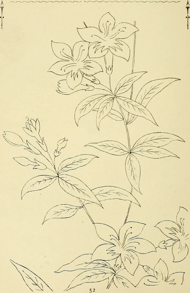 An illustration from Briggs & Co.'s patent transferring papers : patented for the United States of America, 1880, leaf 61