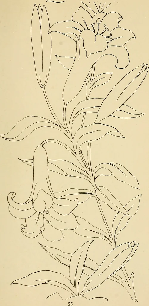 An illustration from Briggs & Co.'s patent transferring papers : patented for the United States of America, 1880, leaf 64