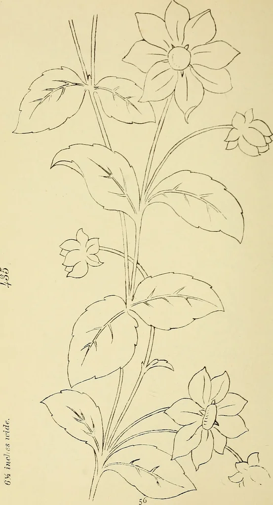 An illustration from Briggs & Co.'s patent transferring papers : patented for the United States of America, 1880, leaf 65