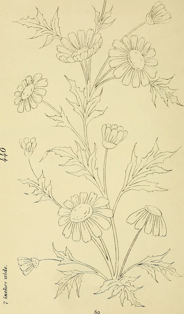 An illustration from Briggs & Co.'s patent transferring papers : patented for the United States of America, 1880, leaf 69