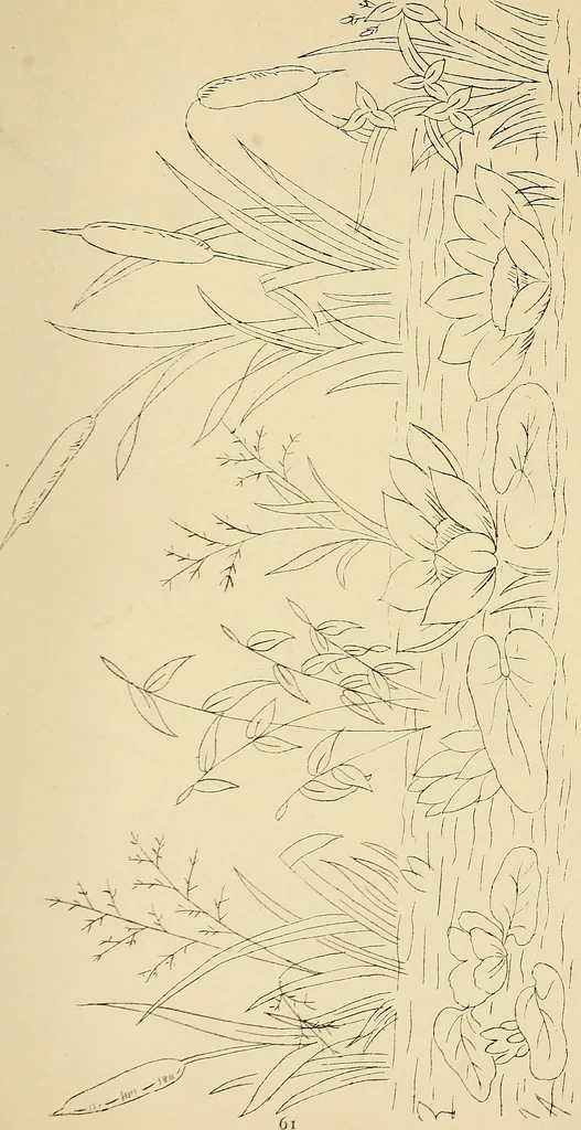 An illustration from Briggs & Co.'s patent transferring papers : patented for the United States of America, 1880, leaf 70