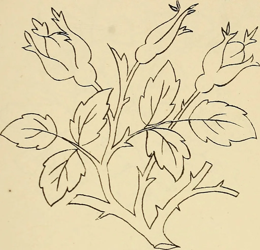 An illustration from Briggs & Co.'s patent transferring papers : patented for the United States of America, 1880, leaf 74