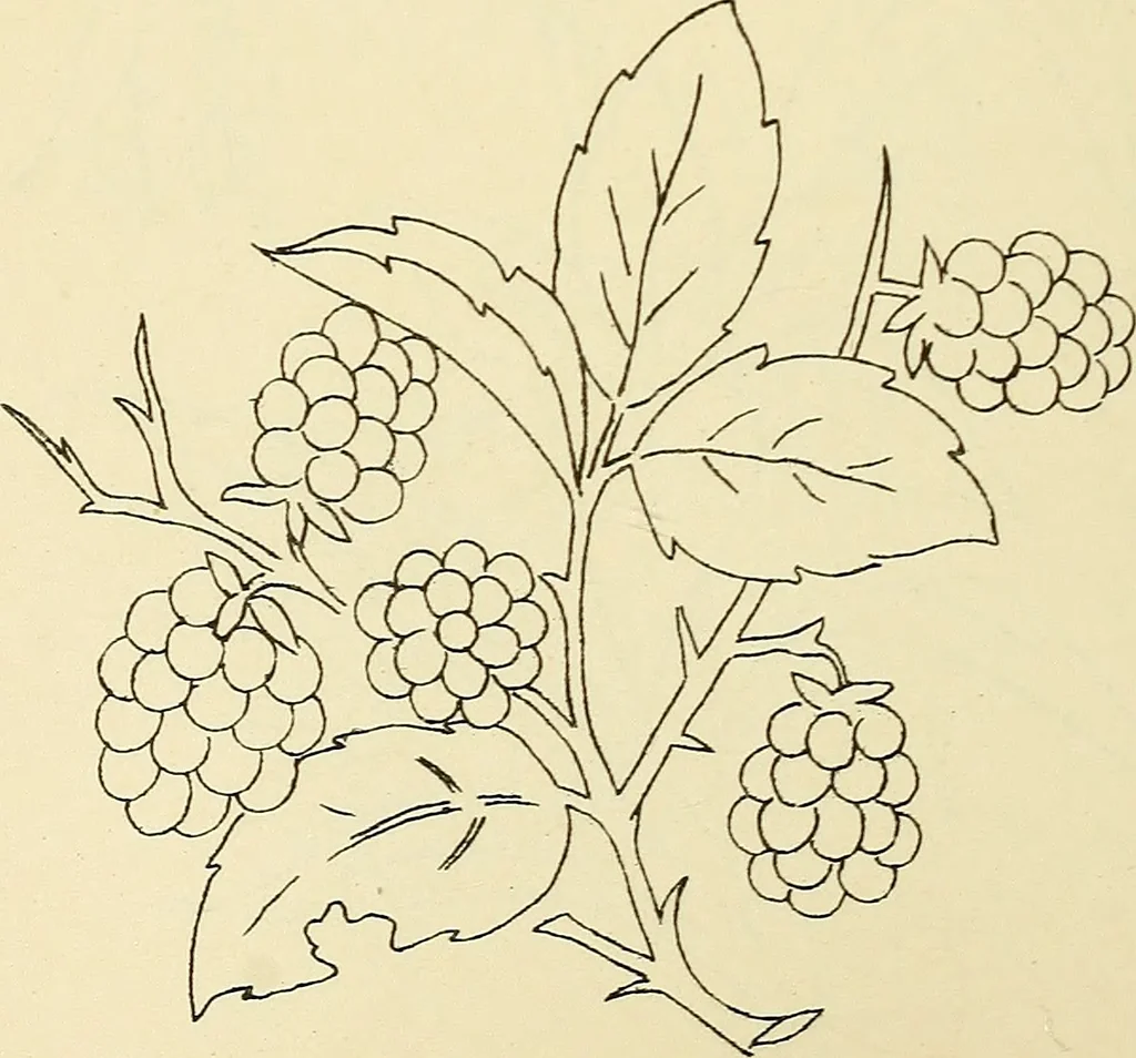 An illustration from Briggs & Co.'s patent transferring papers : patented for the United States of America, 1880, leaf 79