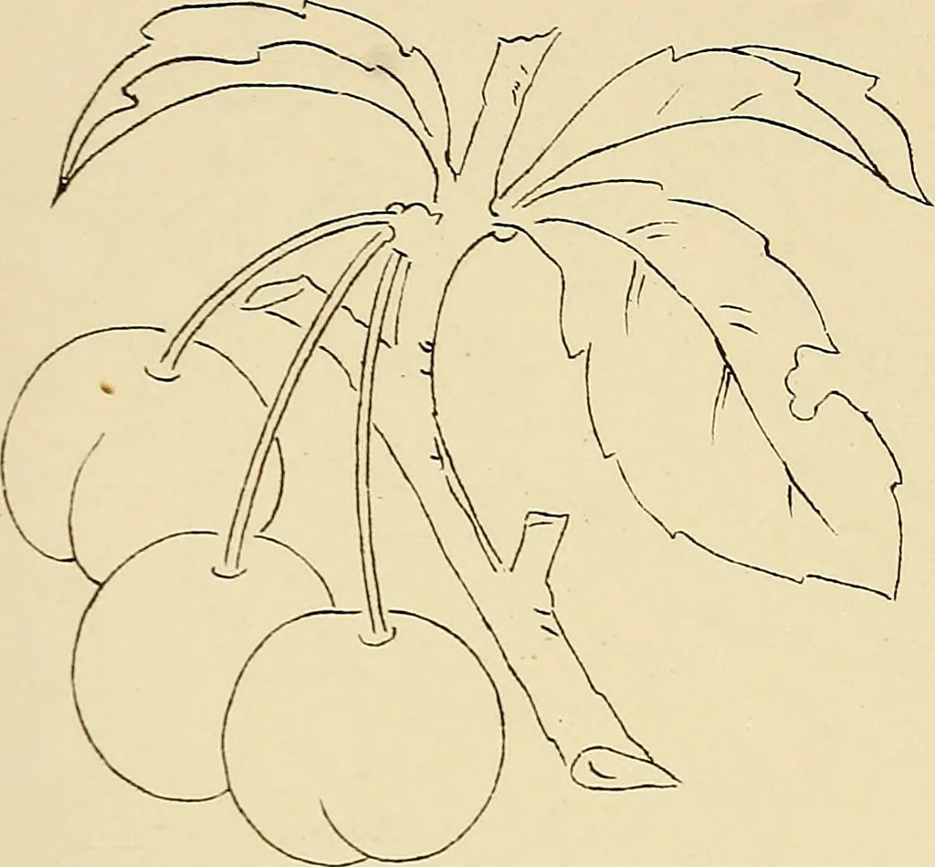 An illustration from Briggs & Co.'s patent transferring papers : patented for the United States of America, 1880, leaf 80