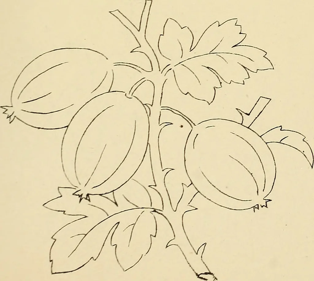 An illustration from Briggs & Co.'s patent transferring papers : patented for the United States of America, 1880, leaf 80