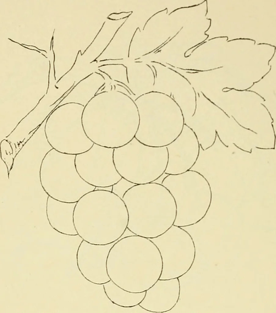 An illustration from Briggs & Co.'s patent transferring papers : patented for the United States of America, 1880, leaf 81