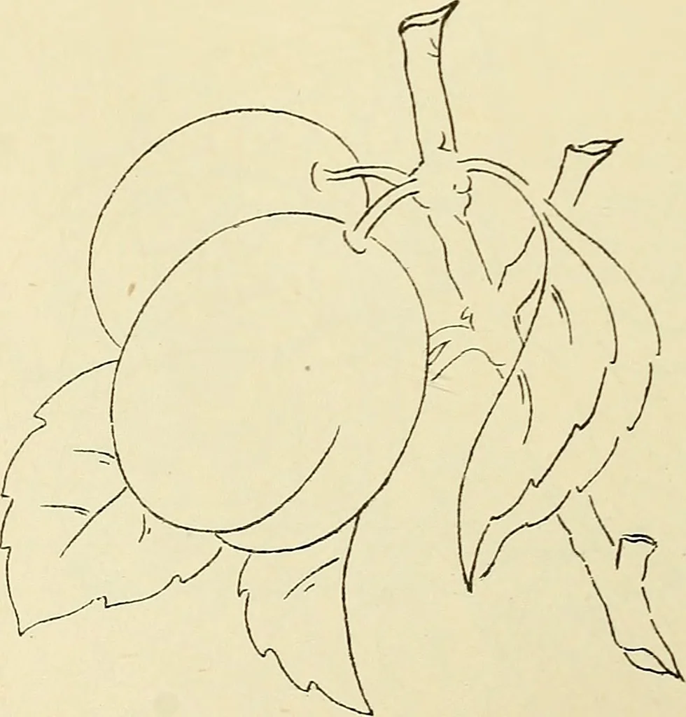 An illustration from Briggs & Co.'s patent transferring papers : patented for the United States of America, 1880, leaf 81