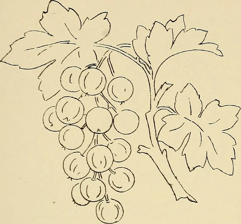An illustration from Briggs & Co.'s patent transferring papers : patented for the United States of America, 1880, leaf 82