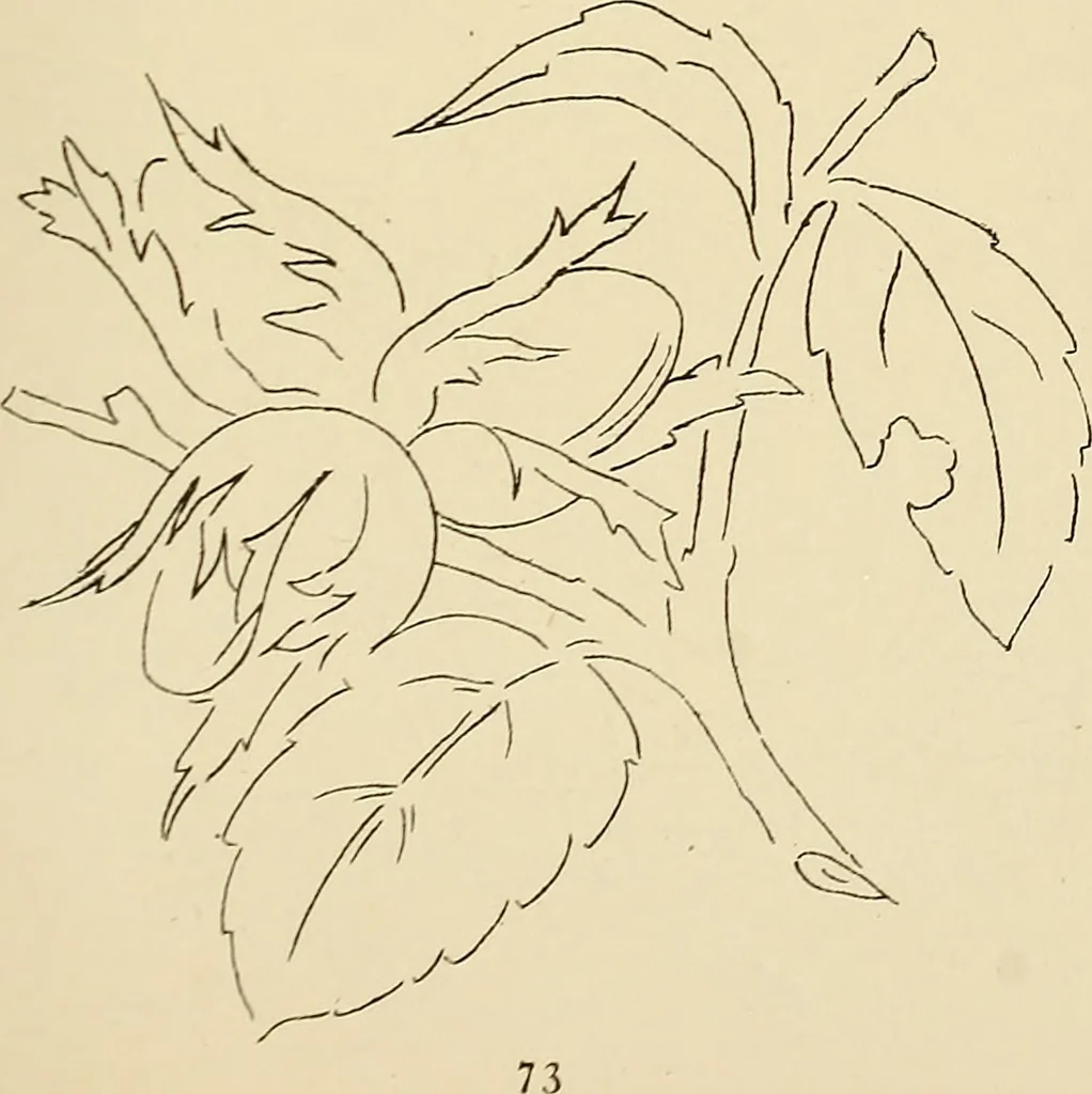 An illustration from Briggs & Co.'s patent transferring papers : patented for the United States of America, 1880, leaf 82