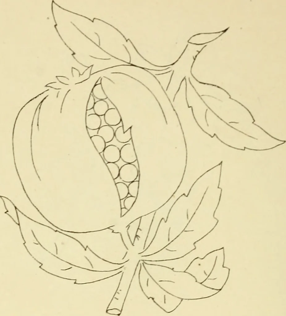 An illustration from Briggs & Co.'s patent transferring papers : patented for the United States of America, 1880, leaf 83