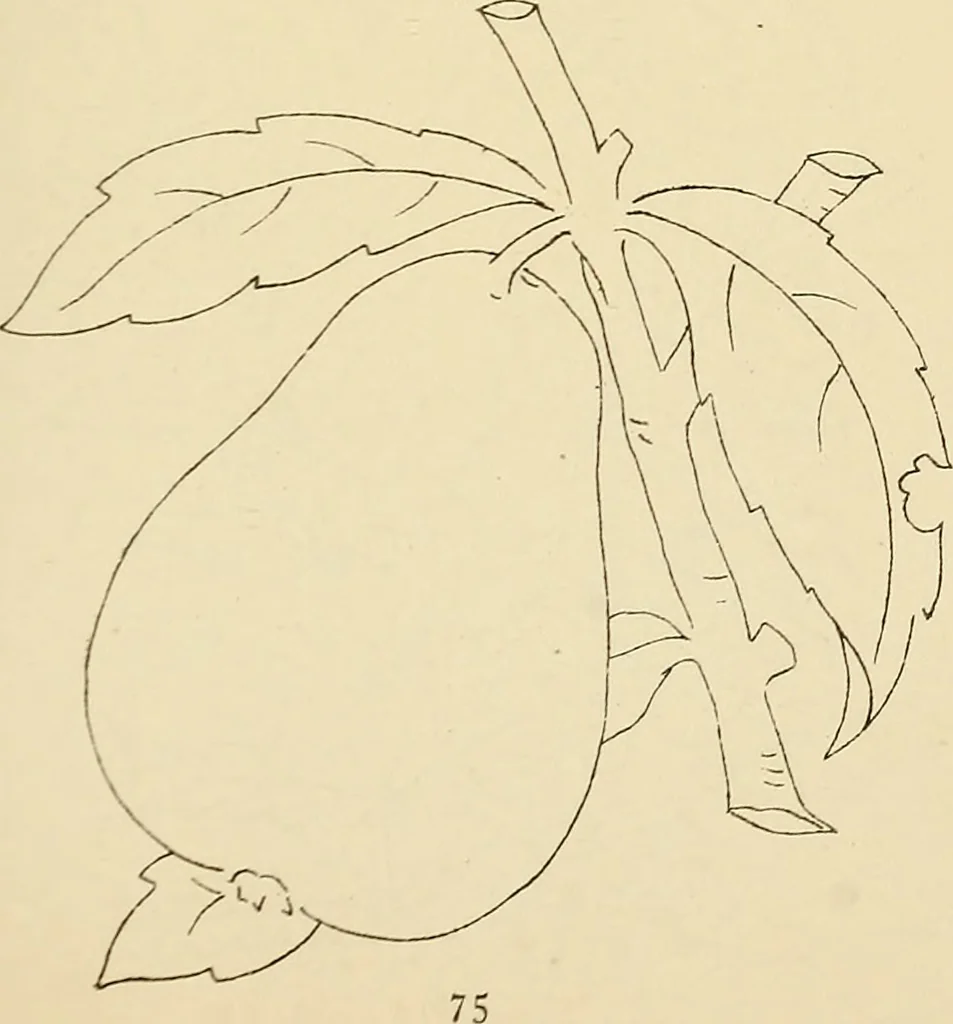 An illustration from Briggs & Co.'s patent transferring papers : patented for the United States of America, 1880, leaf 84