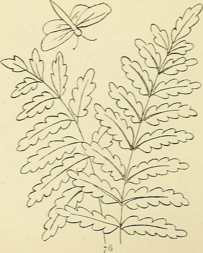 An illustration from Briggs & Co.'s patent transferring papers : patented for the United States of America, 1880, leaf 85