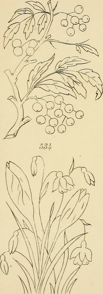 An illustration from Briggs & Co.'s patent transferring papers : patented for the United States of America, 1880, leaf 86