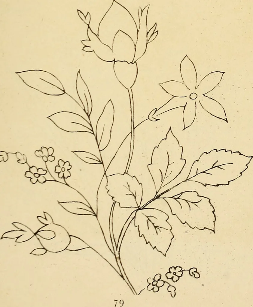 An illustration from Briggs & Co.'s patent transferring papers : patented for the United States of America, 1880, leaf 88