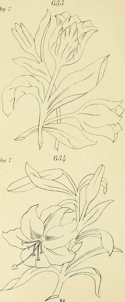 An illustration from Briggs & Co.'s patent transferring papers : patented for the United States of America, 1880, leaf 91