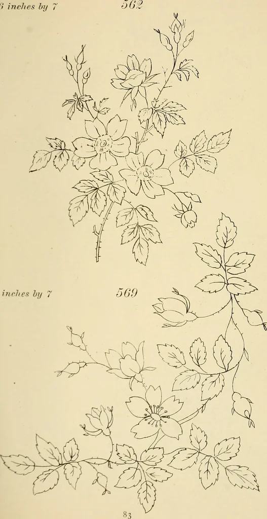 An illustration from Briggs & Co.'s patent transferring papers : patented for the United States of America, 1880, leaf 92