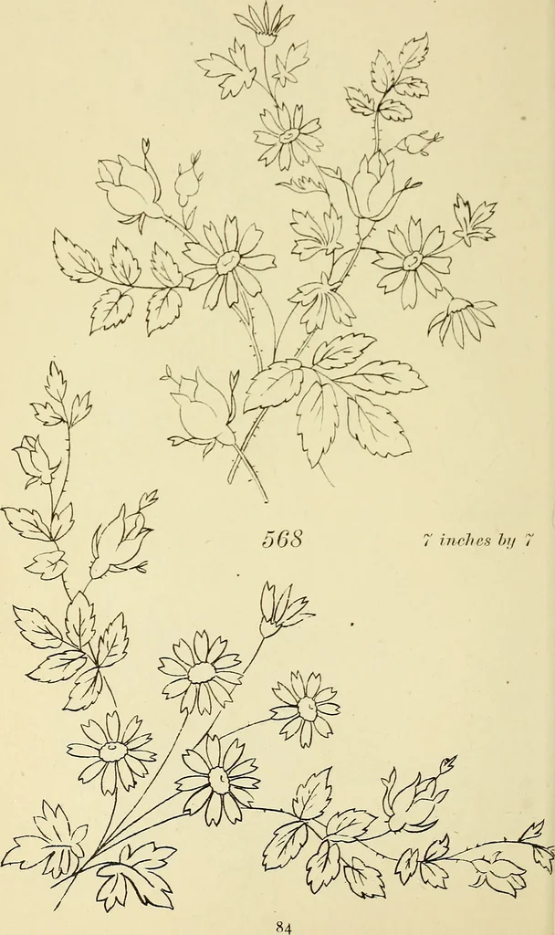 An illustration from Briggs & Co.'s patent transferring papers : patented for the United States of America, 1880, leaf 93