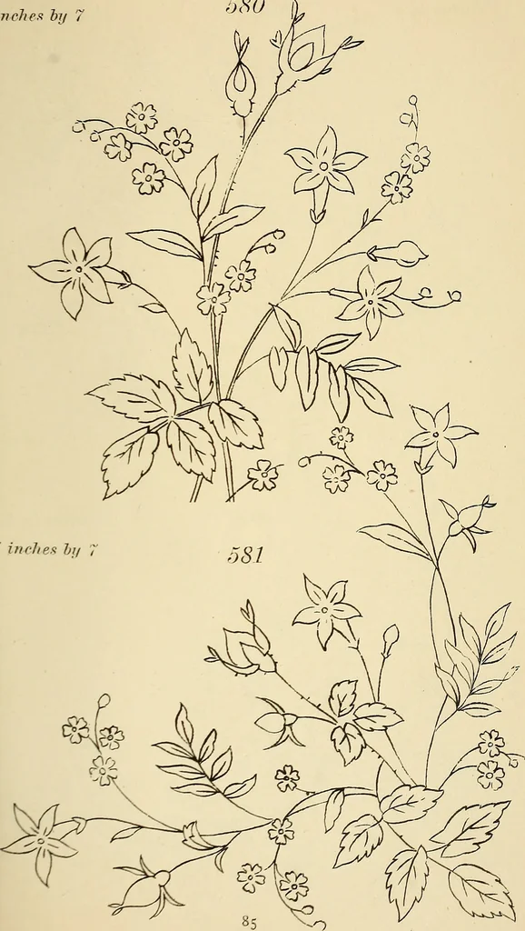 An illustration from Briggs & Co.'s patent transferring papers : patented for the United States of America, 1880, leaf 94