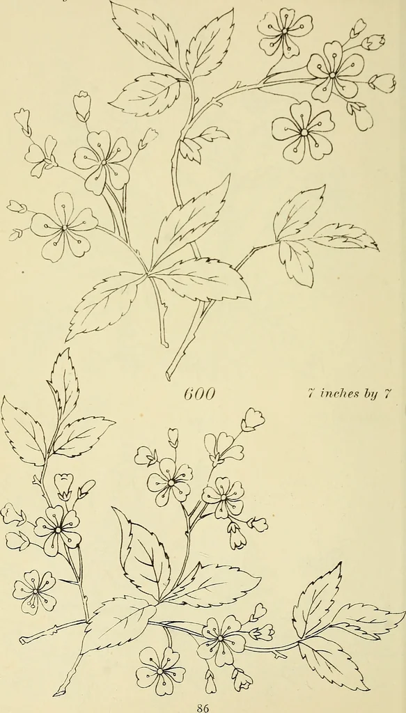 An illustration from Briggs & Co.'s patent transferring papers : patented for the United States of America, 1880, leaf 95