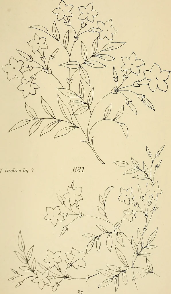 An illustration from Briggs & Co.'s patent transferring papers : patented for the United States of America, 1880, leaf 96