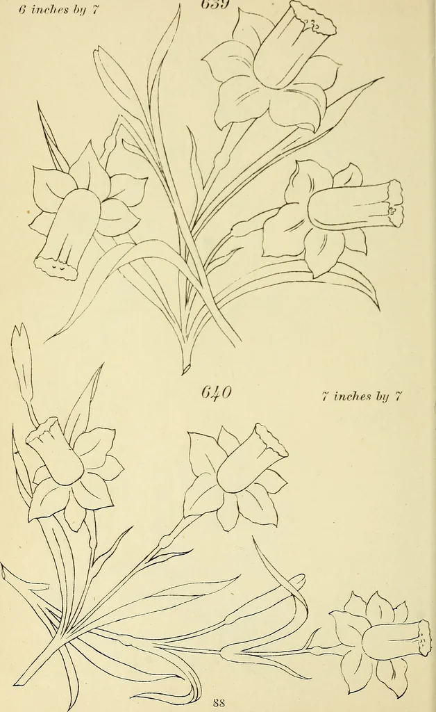 An illustration from Briggs & Co.'s patent transferring papers : patented for the United States of America, 1880, leaf 97