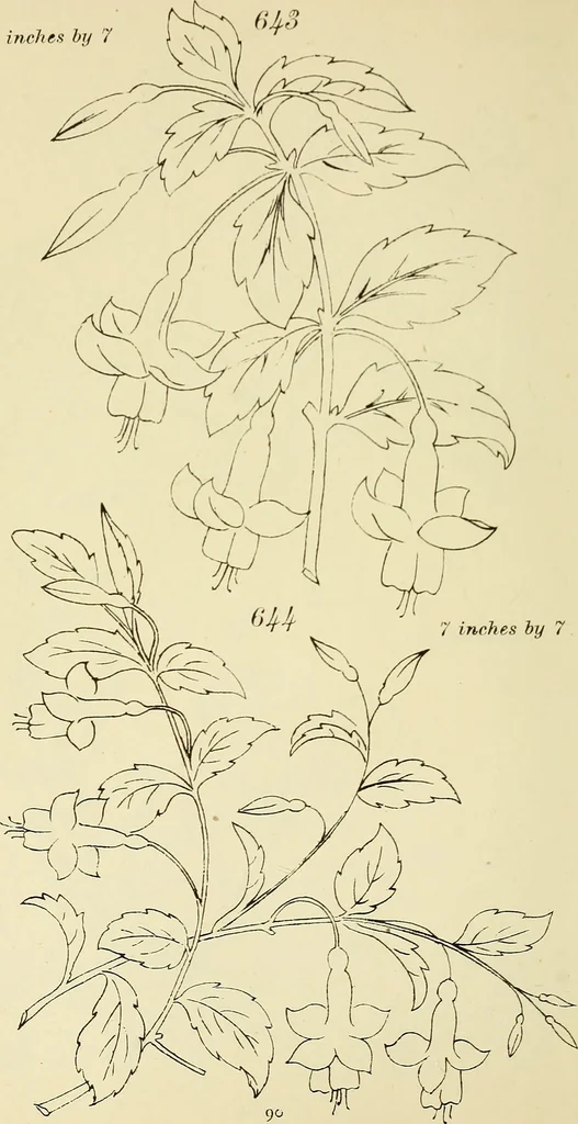 An illustration from Briggs & Co.'s patent transferring papers : patented for the United States of America, 1880, leaf 99