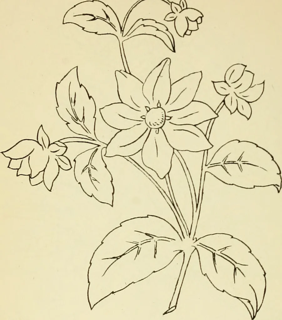 An illustration from Briggs' patent transferring designs, 1880, leaf 107
