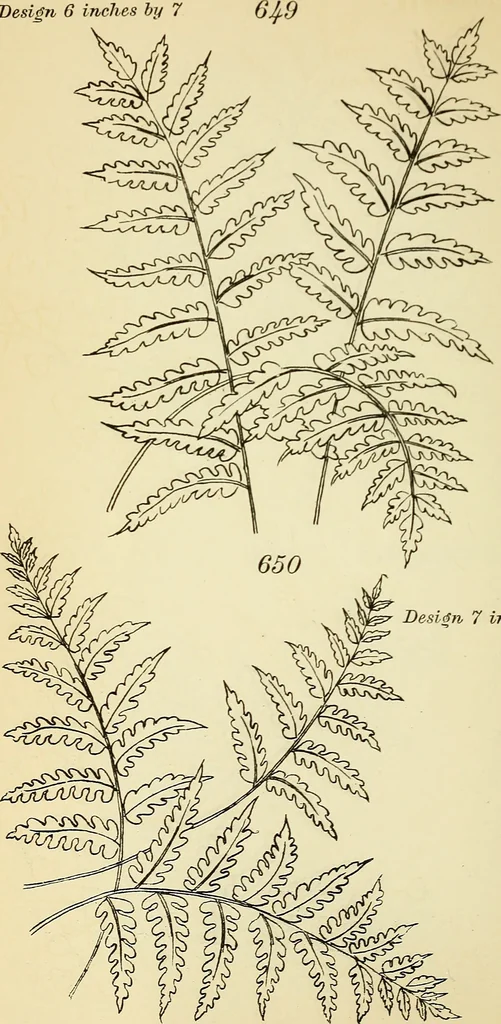 An illustration from Briggs' patent transferring designs, 1880, leaf 109