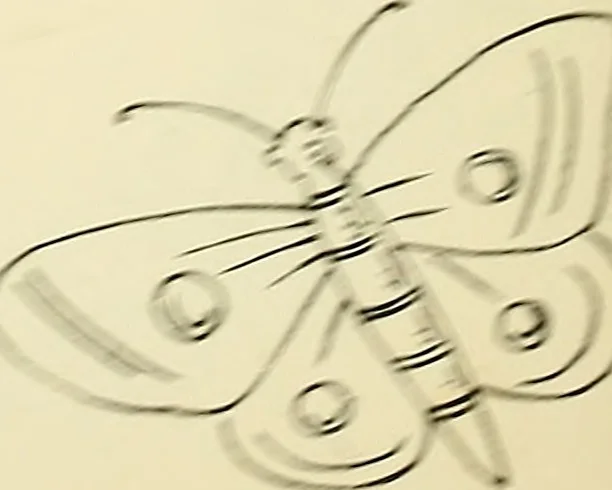 An illustration from Briggs' patent transferring designs, 1880, leaf 129