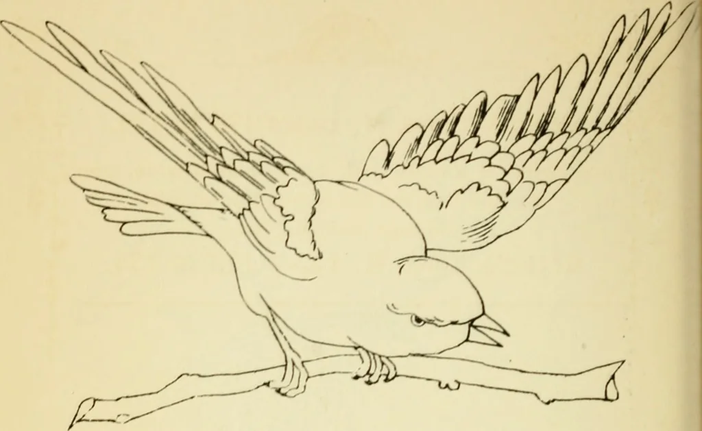 An illustration from Briggs' patent transferring designs, 1880, leaf 131