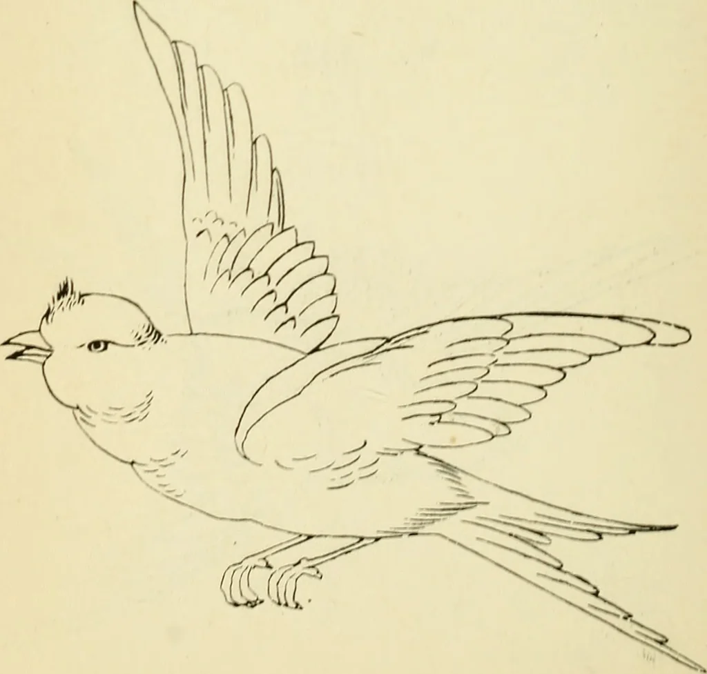 An illustration from Briggs' patent transferring designs, 1880, leaf 131