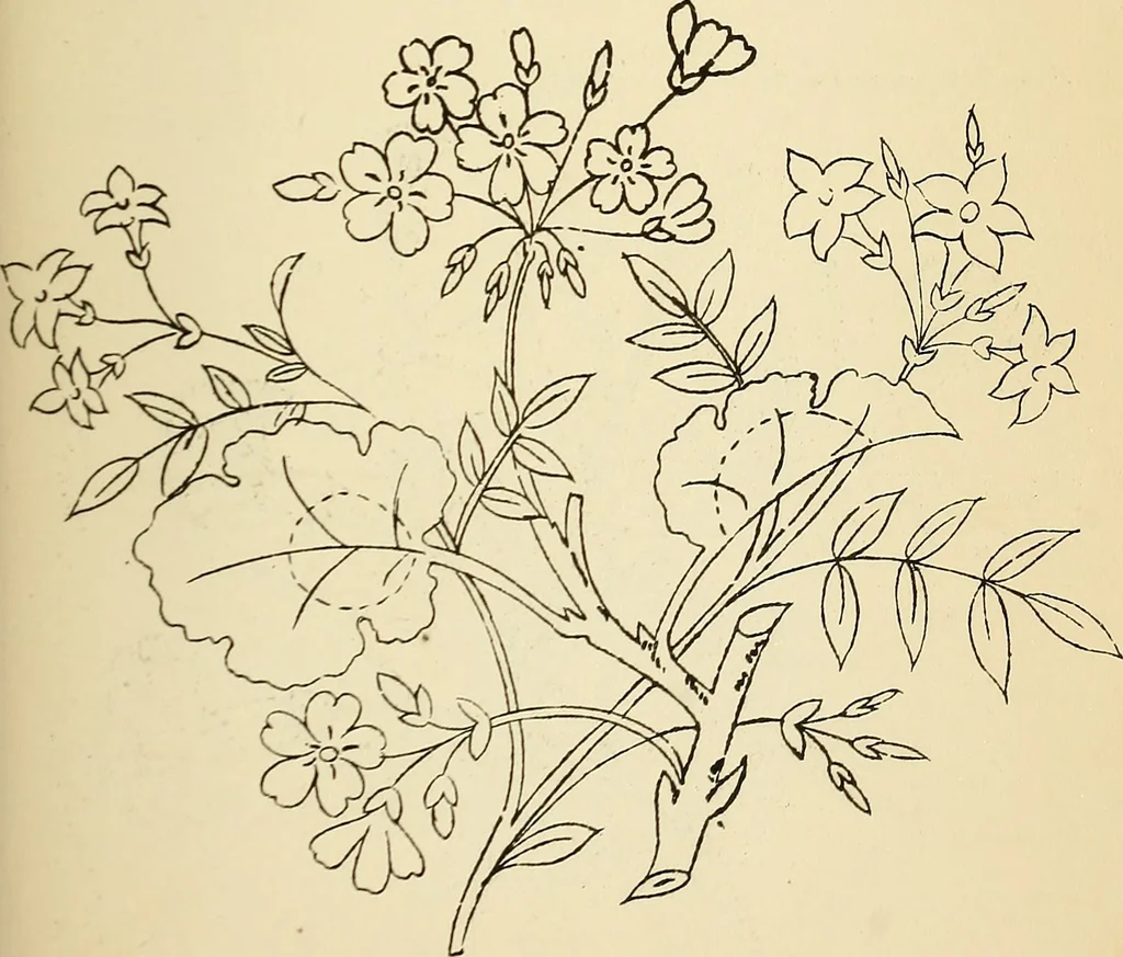 An illustration from Briggs' patent transferring designs, 1880, leaf 132