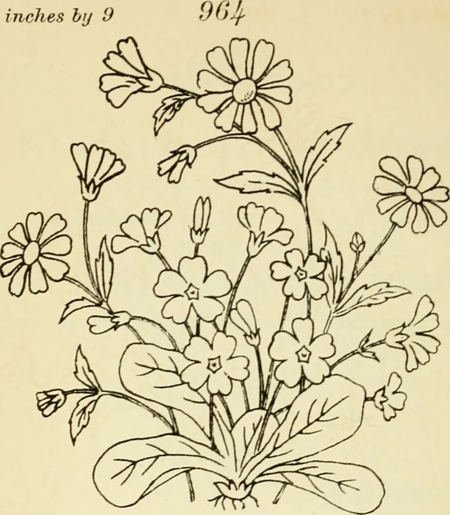An illustration from Briggs' patent transferring designs, 1880, leaf 133