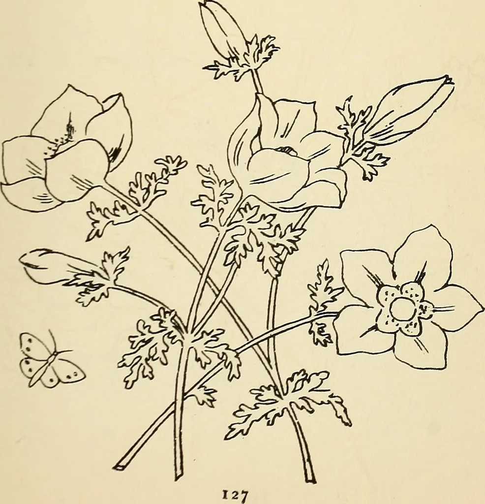 An illustration from Briggs' patent transferring designs, 1880, leaf 134