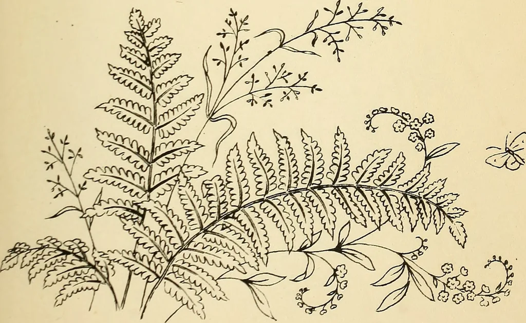 An illustration from Briggs' patent transferring designs, 1880, leaf 144