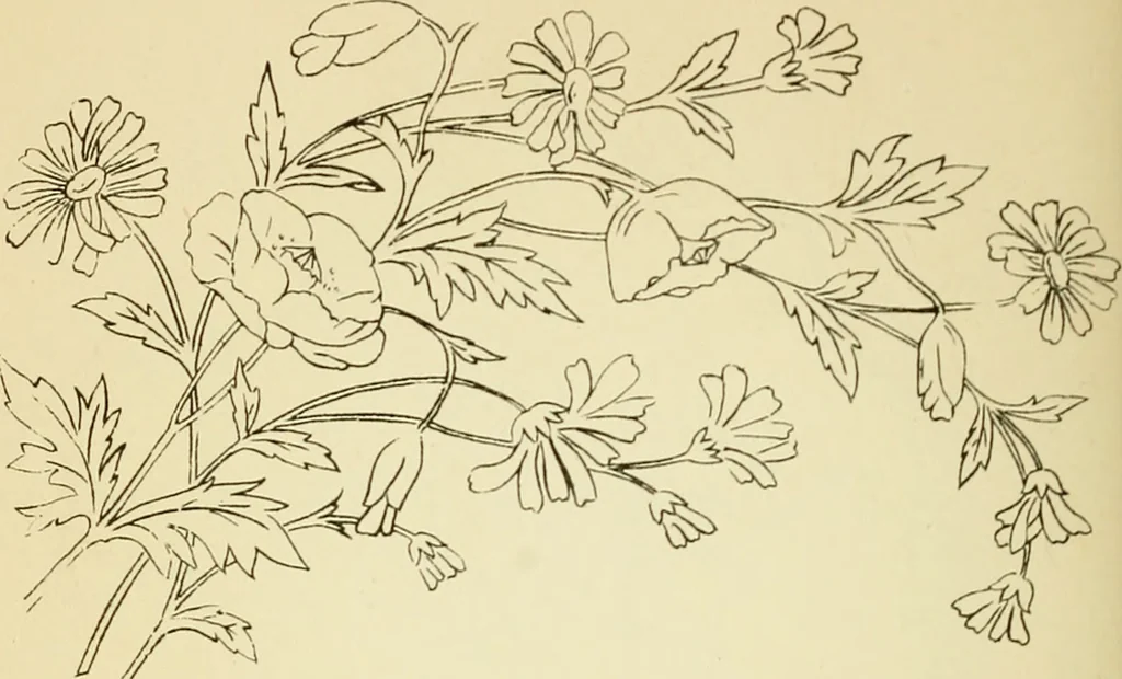 An illustration from Briggs' patent transferring designs, 1880, leaf 145