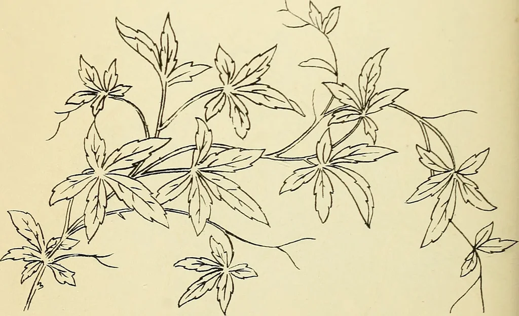 An illustration from Briggs' patent transferring designs, 1880, leaf 145