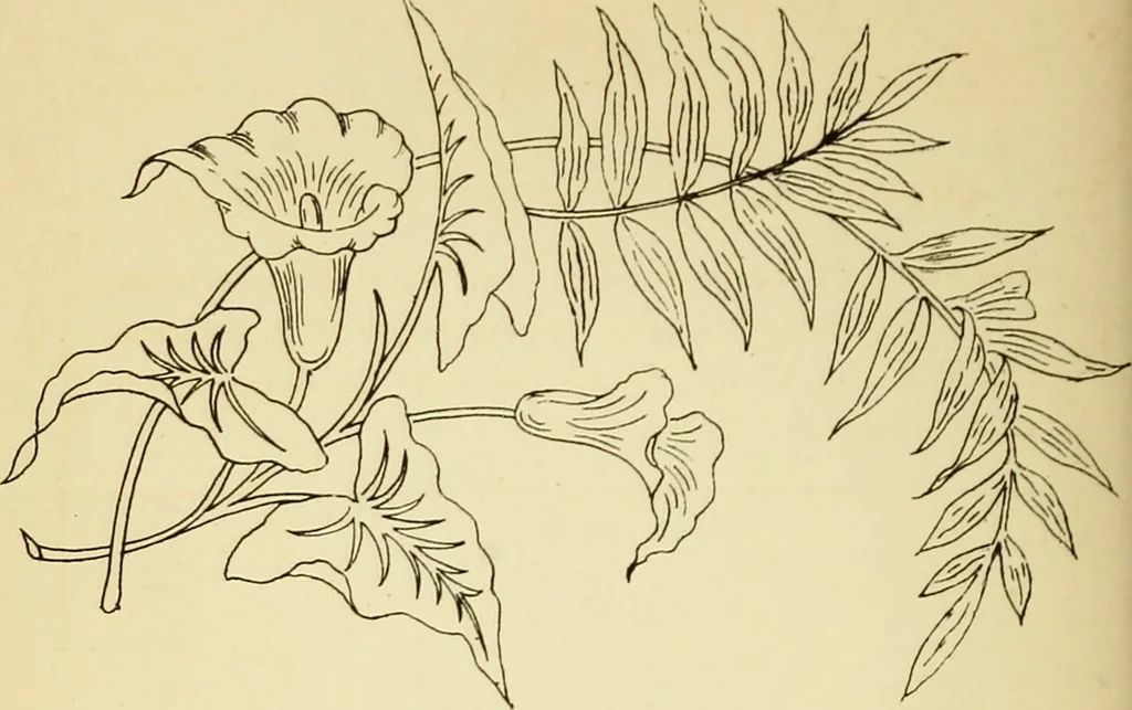 An illustration from Briggs' patent transferring designs, 1880, leaf 147