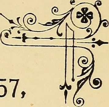 An illustration from Briggs' patent transferring designs, 1880, leaf 148